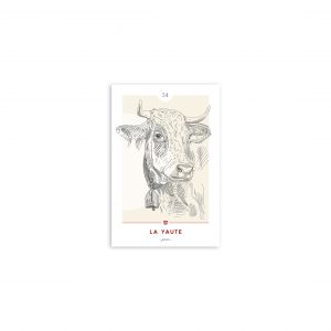 Folio02-carte-presentation-54