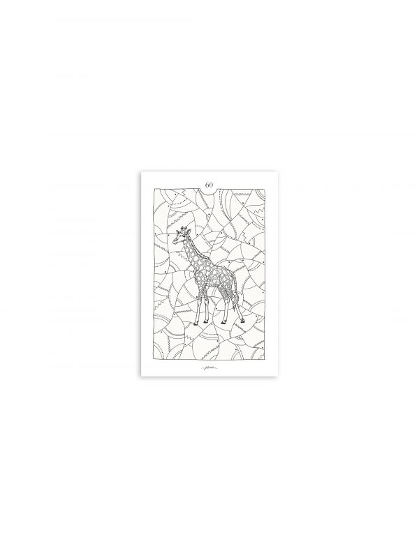 Folio02-carte-presentation-60